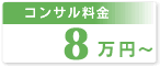 �E�F�u�R���T���e�B���O������8���~�`