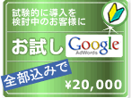 �O�[�O���A�h���[�Y�iGoogle AdWords�j�L�������������v����