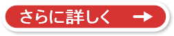 �l�b�g�V���b�v�J�ƃT�[�r�X�̏ڍׂփ{�^��